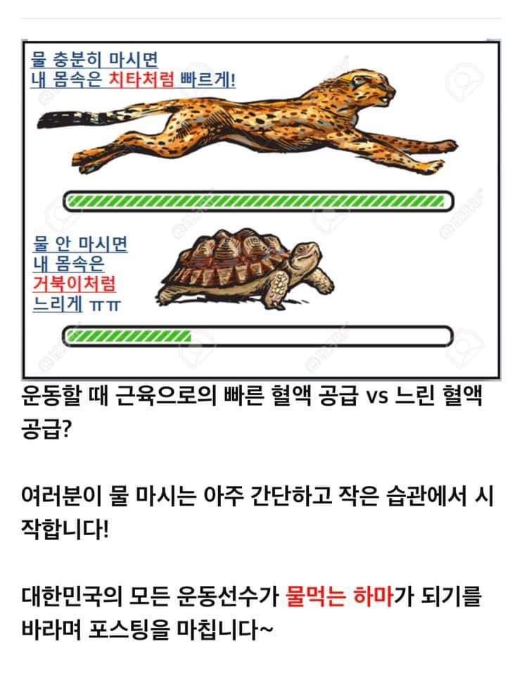 야구아빠 야구아들_사진_20240730_50.jpg