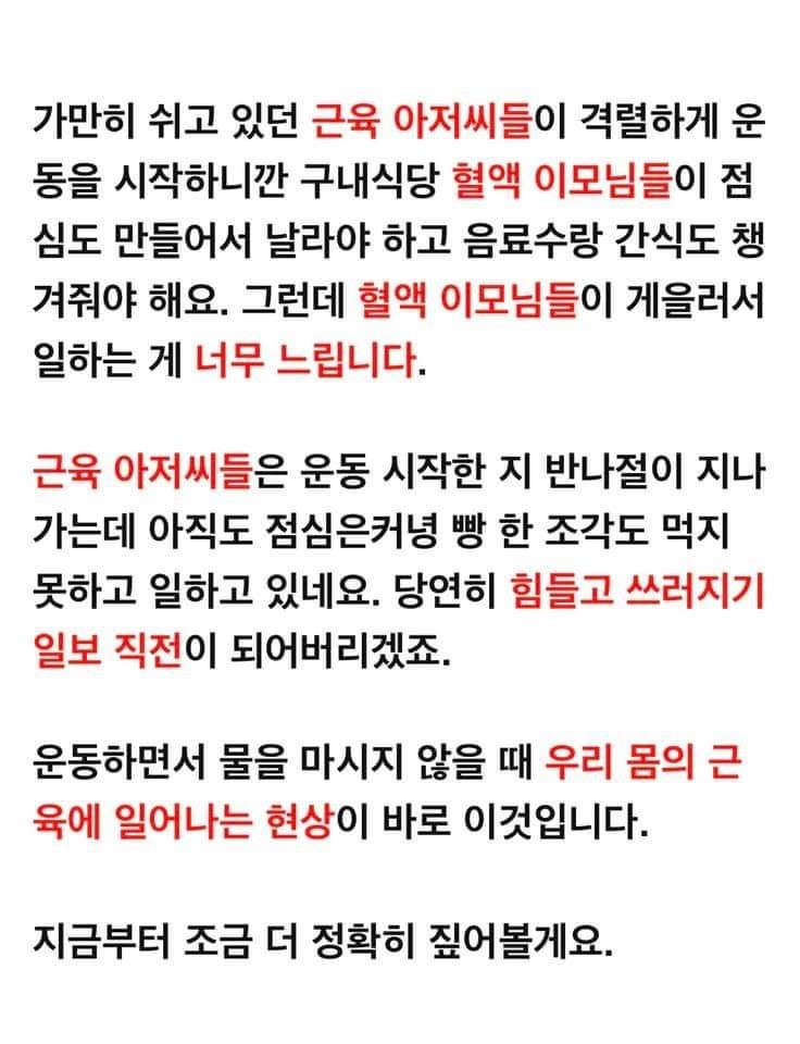 야구아빠 야구아들_사진_20240730_53.jpg